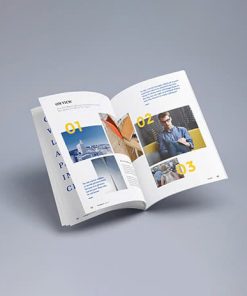 Cẩm Nang Cầm Tay - Ảnh 3