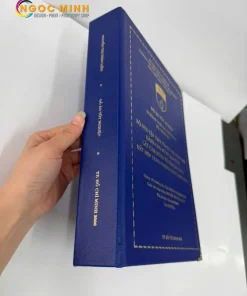 Bia khoa luan tot nghiep web 12.webp
