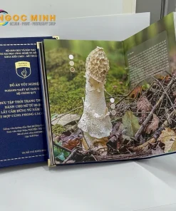 Bia khoa luan tot nghiep web 16.webp