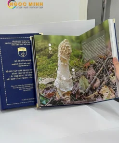 Bia khoa luan tot nghiep web 4.webp