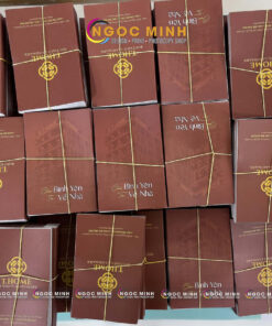 in folder mini web 5
